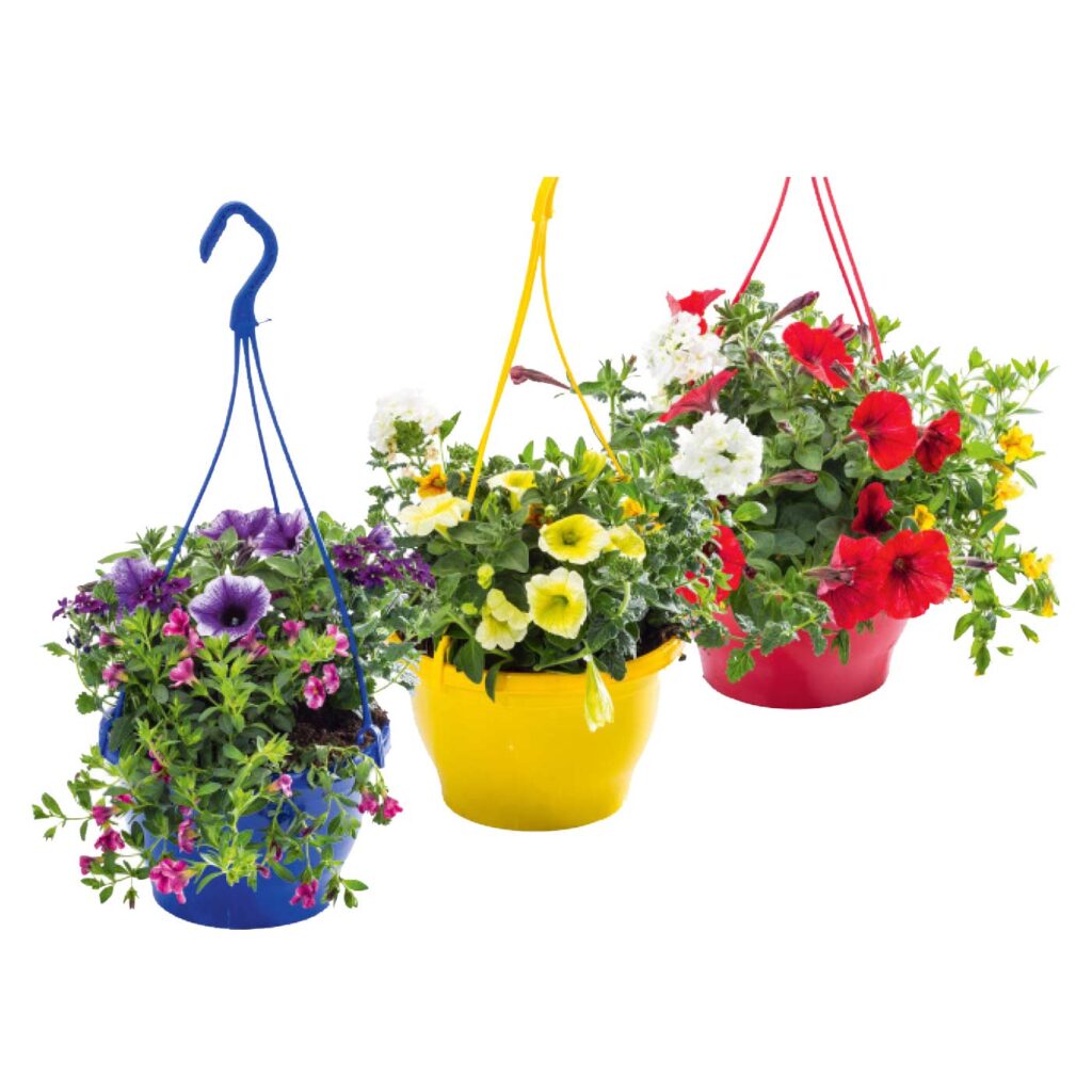 Blumen