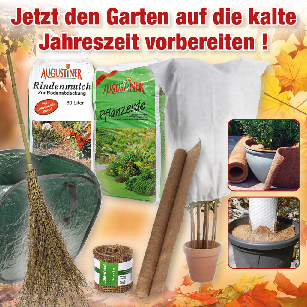 web-banner_KW38-25_V2