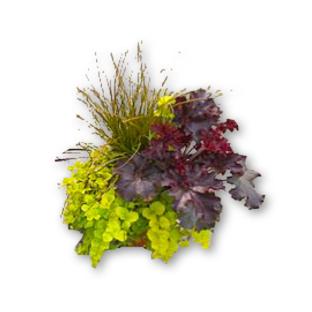 Herbstkorb